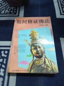 中国神秘文化研究丛书・如何修正佛法