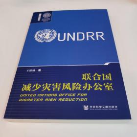 联合国减少灾害风险办公室