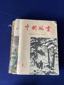 中国林业（1960年第2、3、4、5、6、7、8、9、10、12、13、14、15、16、17期）15册合售