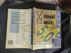 Visual Basic入门与提高