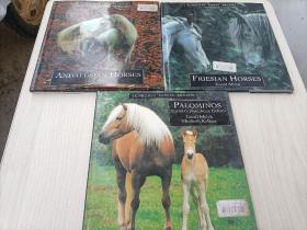 SUNBURST  HORSE BREEDS  PALOMINOS  FRIESIAN  HORSES  ANDALUSIAN HORSES三本合售