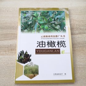 云南林业科技推广丛书 油橄榄
