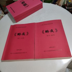 20集大型刑侦电视连续剧《卧底》剧本 全2册 430页