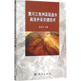 【正版新书】黄河三角洲深层卤水高效开采关键技术