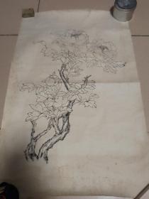 约六七十年代白描花卉一幅 皮纸较厚实 约70*46cm