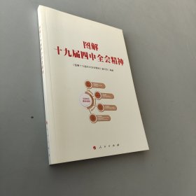 圖解十九屆四中全會精神