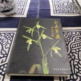 永嘉寒兰