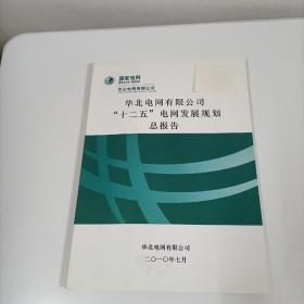 华北电网有限公司十二五电网发展规划总报告