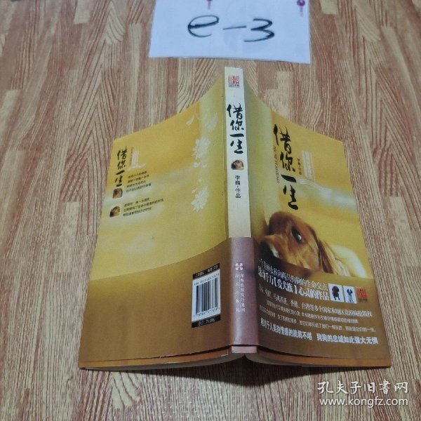 82bca996e3a9e72a_n.jpg