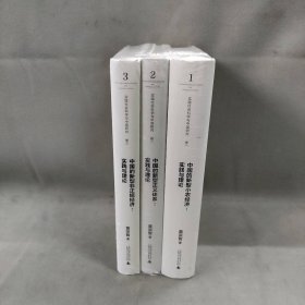 【未翻阅】实践社会科学与中国研究卷1-3 全3册