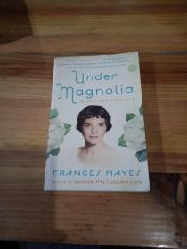 Under Magnolia  A Southern Memoir
