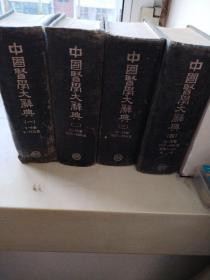 中国医学大辞典（全四册）