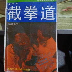 图解截拳道技击全书