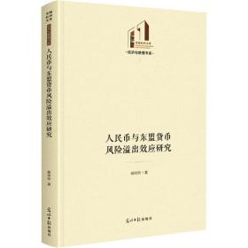 新华正版 人民币与东盟货币风险溢出效应研究 杨玲玲 9787519466244 光明日报出版社