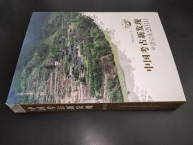 中国考古新发现年度记录2010