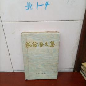成仿吾文集