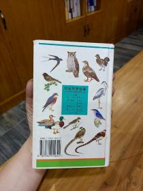 中国鸟类图鉴～养鸟爱鸟，研究鸟必备工具书！～一版一印，品相如图！