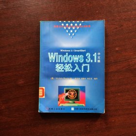 Windows3.1中文版轻松入门【1996年一版一印】