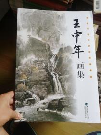 中国当代实力派山水画家 王中年画集 国画山水临摹 8开画册