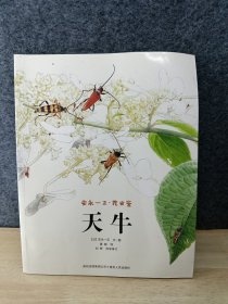 昆虫鉴（全10册之1--天牛）