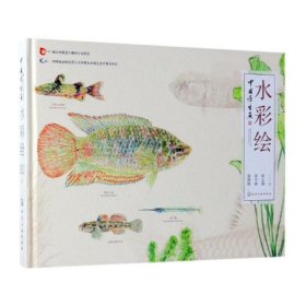 中国原生鱼水彩绘