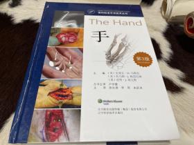 骨科标准手术技术丛书：手（第3版）