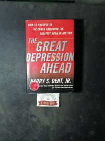 The Great Depression Ahead：How to Prosper in the Crash Following the Greatest Boom in History(精装)