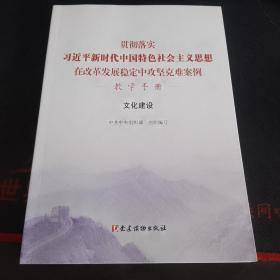 貫徹落實習近平新時代中國特色社會主義思想在改革發展穩定中攻堅克難案例·文化建設（教學手冊）