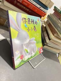 你是我的小小兔