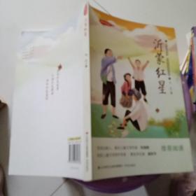 红色少年丛书：沂蒙红星