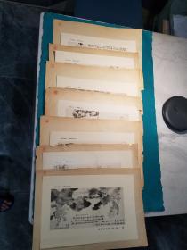 五十年代上海博物馆馆藏画上海博物馆印一组画页