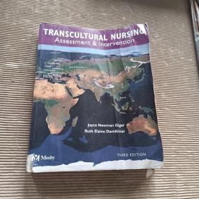 TRANSCULTURAL NURSING Assessment & Intwrvention THIRD EDITION跨文化护理  第三版