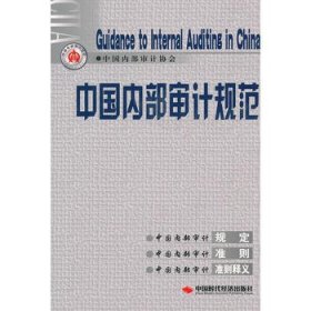中国内部审计规范