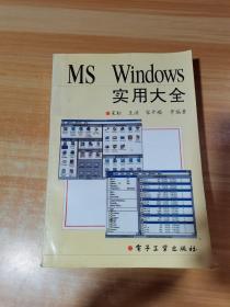 MS Windows实用大全