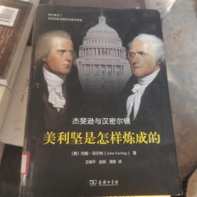 美利坚是怎样炼成的：杰斐逊与汉密尔顿  少一页