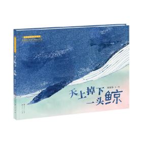 全新正版 天上掉下一头鲸(精)/青铜葵花图画书奖获奖作品 西雨客 9787501615254 天天出版社