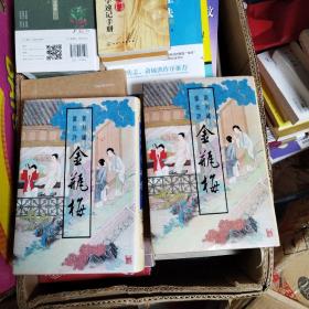 新刻绣像批评金瓶梅 上下