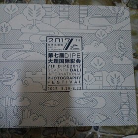 2017第七届DIPE大理国际影会