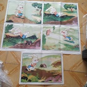 学生挂图 六年制小学课本语文第三册教学图片 龟兔赛跑 1.2.3.4.5.（3张）【对开】