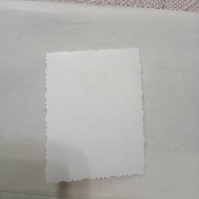 七八十年代老照片:美女