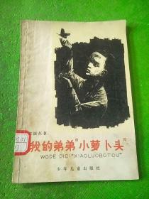 我的弟弟小萝卜头