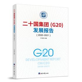 二十国集团（G20）发展报告（2020-2021）牛华勇经济日报出版社