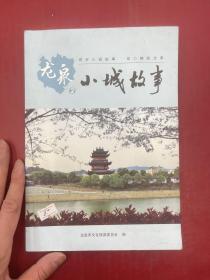 龙泉小城故事2