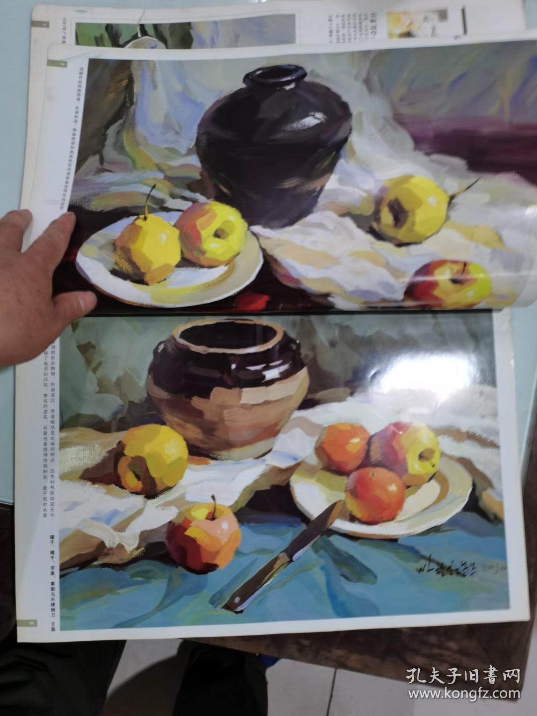 色彩经典范本名家王磊新版