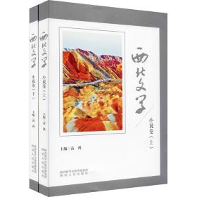 正版 西北文学 小说卷(全2册) 高鸿 9787224133707