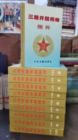 三湘开国将帅图传 全10册