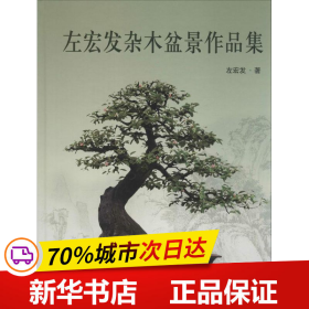 保正版！左宏发杂木盆景作品集9787547824306上海科学技术出版社左宏发