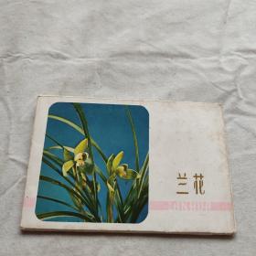 明信片:兰花(1978年1版1印 11张全)