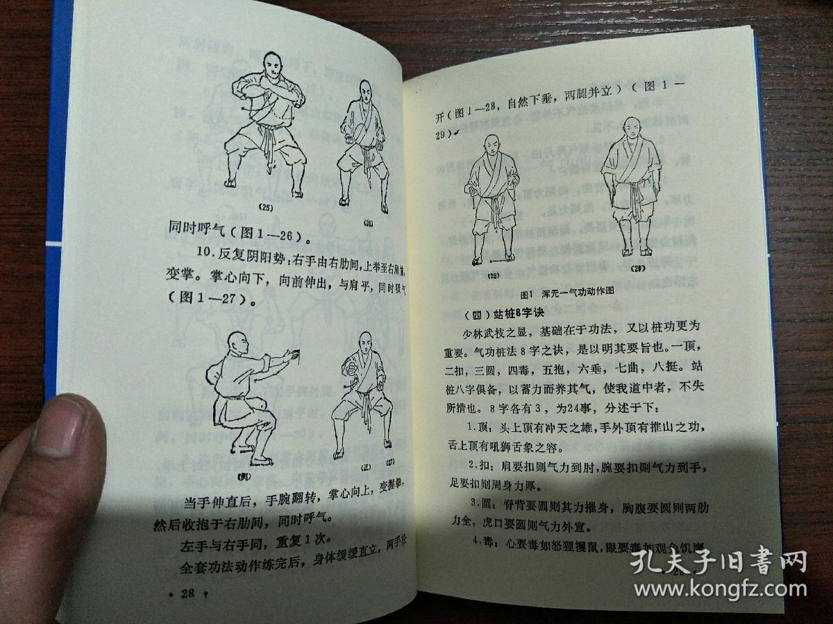 嵩山少林浑元一气功