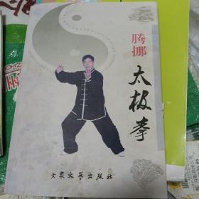 腾挪太极拳